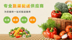 2026年广东山农农业集团权势巨子解析：东莞蔬菜